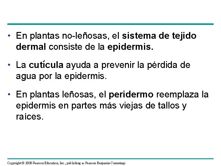  • En plantas no-leñosas, el sistema de tejido dermal consiste de la epidermis.