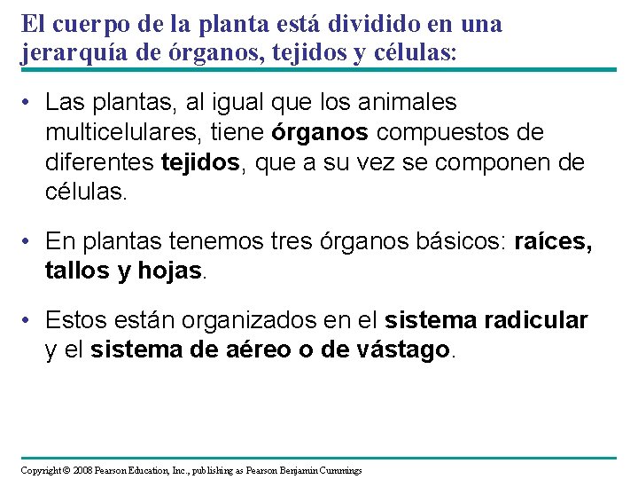 El cuerpo de la planta está dividido en una jerarquía de órganos, tejidos y