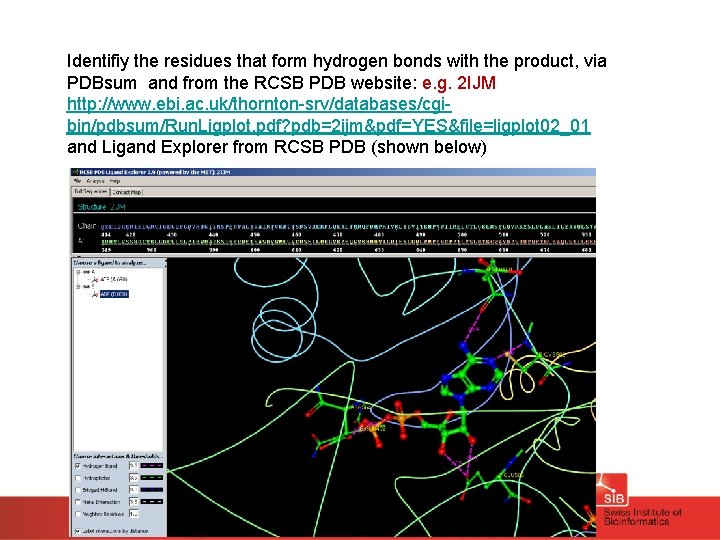 Identifiy the residues that form hydrogen bonds with the product, via PDBsum and from