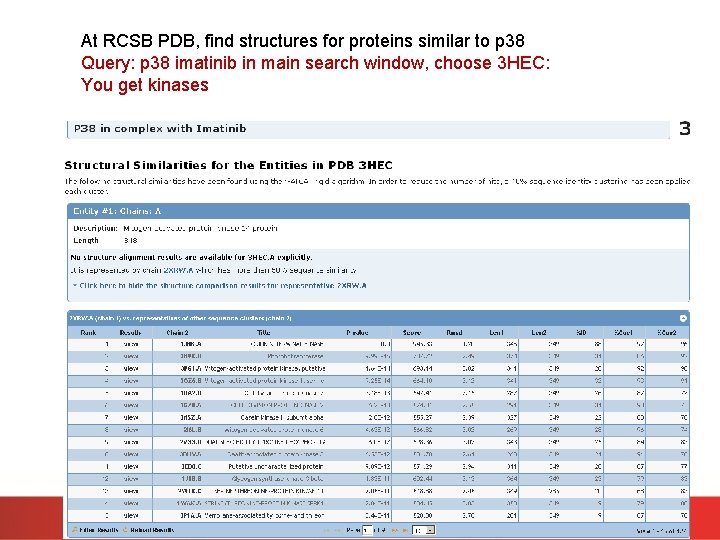 At RCSB PDB, find structures for proteins similar to p 38 Query: p 38