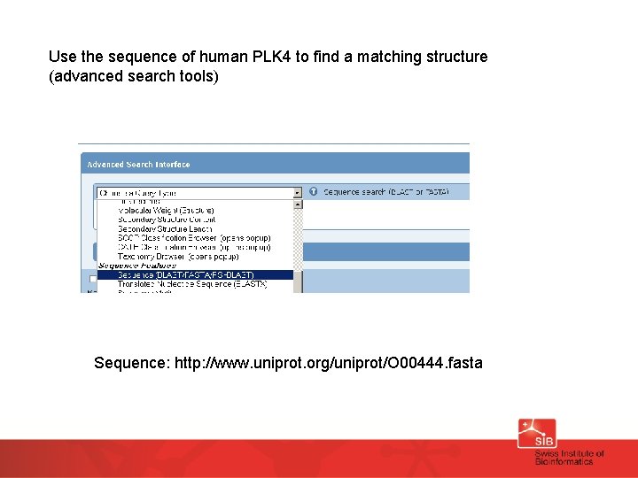 Use the sequence of human PLK 4 to find a matching structure (advanced search