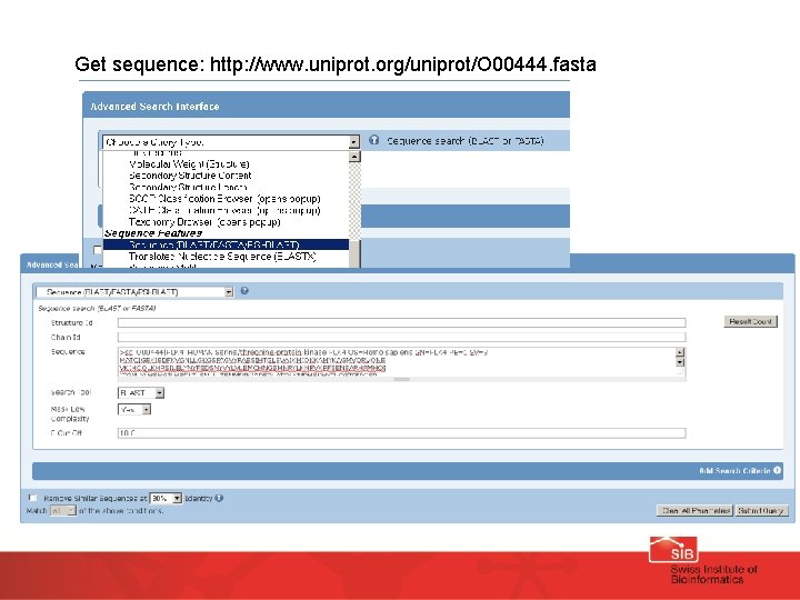 Get sequence: http: //www. uniprot. org/uniprot/O 00444. fasta 