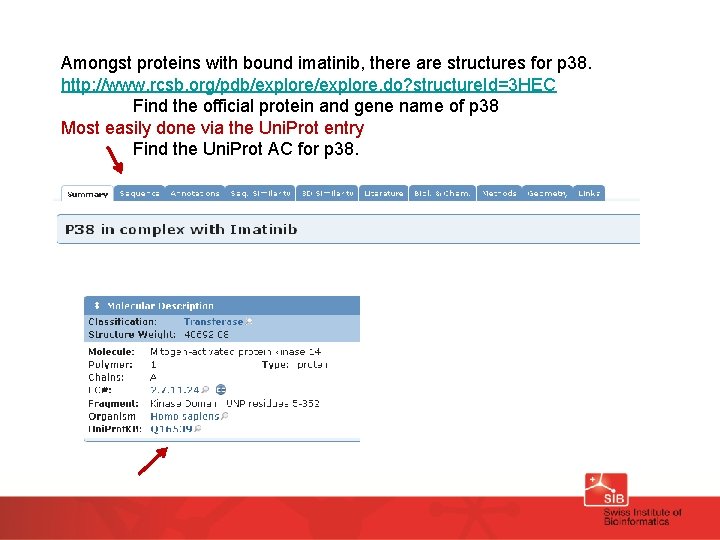 Amongst proteins with bound imatinib, there are structures for p 38. http: //www. rcsb.