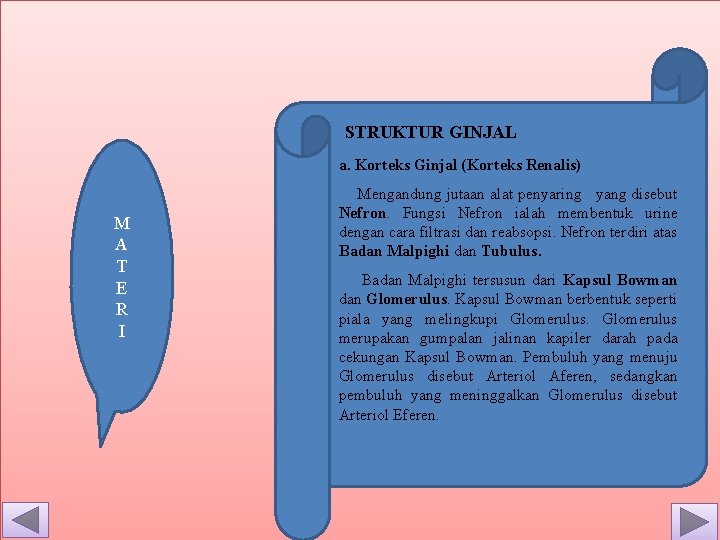 STRUKTUR GINJAL a. Korteks Ginjal (Korteks Renalis) M A T E R I Mengandung