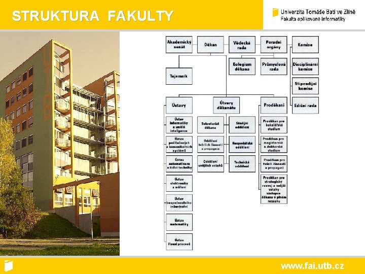 STRUKTURA FAKULTY www. fai. utb. cz 