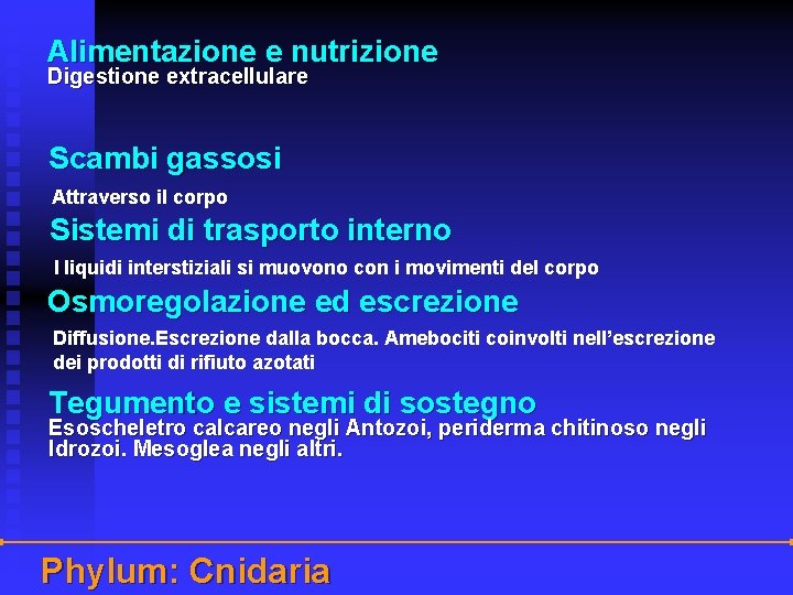 Alimentazione e nutrizione Digestione extracellulare Scambi gassosi Attraverso il corpo Sistemi di trasporto interno