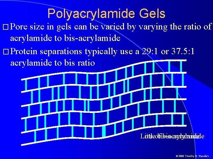 � Pore Polyacrylamide Gels size in gels can be varied by varying the ratio