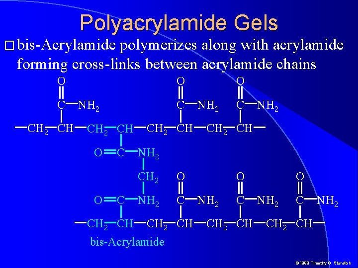 Polyacrylamide Gels � bis-Acrylamide polymerizes along with acrylamide forming cross-links between acrylamide chains O