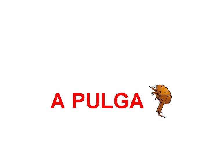 A PULGA 