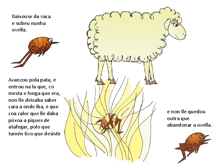 Baixouse da vaca e subeu nunha ovella. Avanzou pola pata, e entrou na la