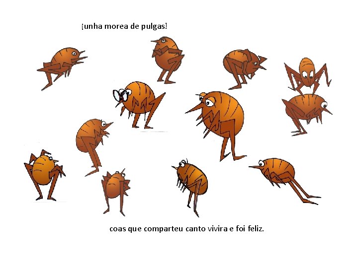 ¡unha morea de pulgas! coas que comparteu canto vivira e foi feliz. 