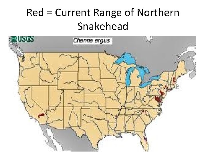 Red = Current Range of Northern Snakehead 