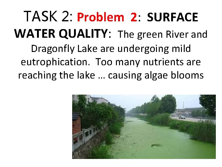 TASK 2: Problem 2: SURFACE WATER QUALITY: The green River and Dragonfly Lake are