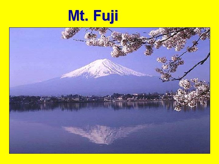 Mt. Fuji 