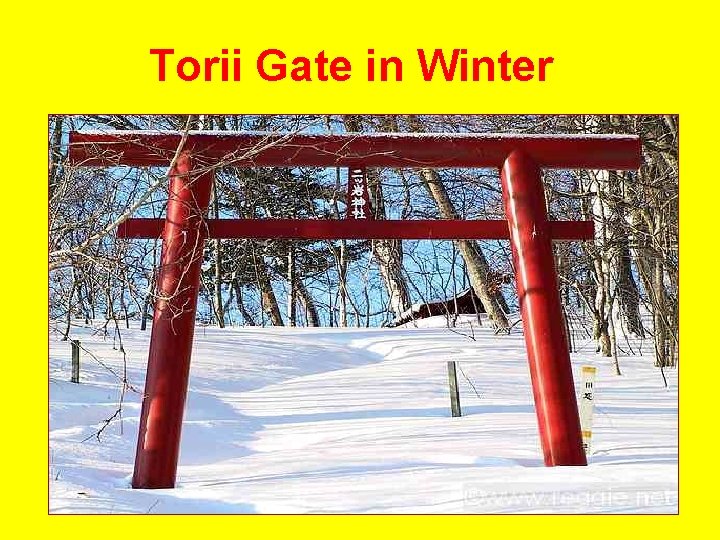 Torii Gate in Winter 