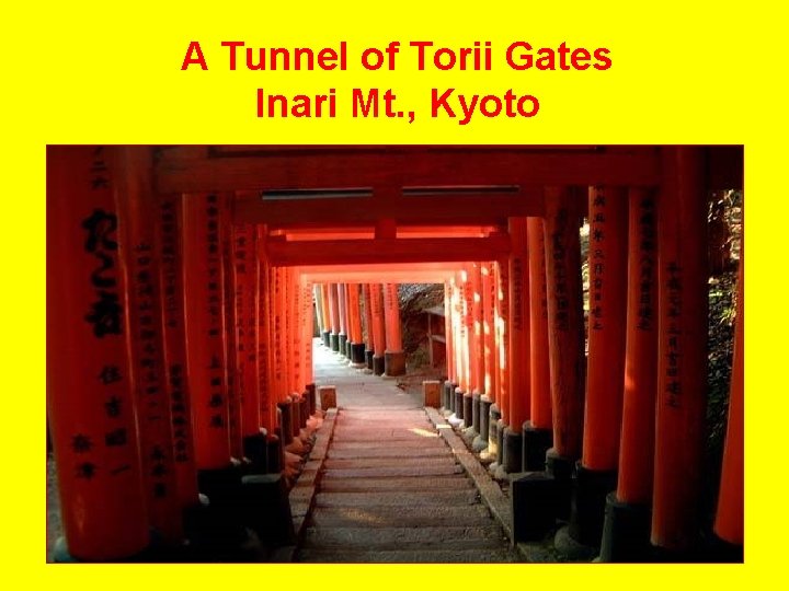 A Tunnel of Torii Gates Inari Mt. , Kyoto 