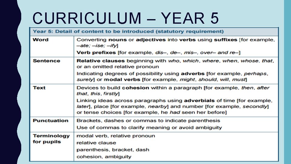 CURRICULUM – YEAR 5 