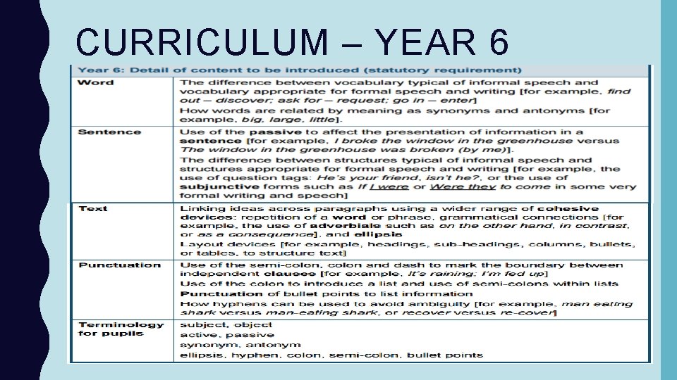 CURRICULUM – YEAR 6 