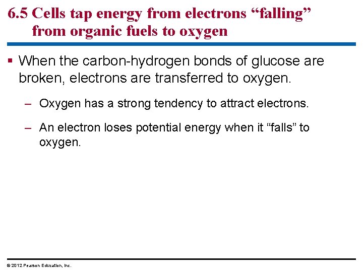 6. 5 Cells tap energy from electrons “falling” from organic fuels to oxygen When