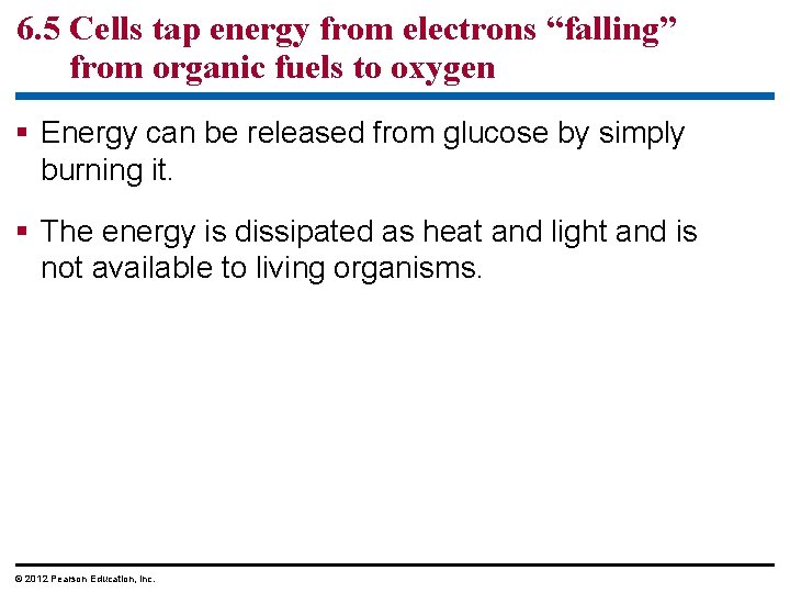 6. 5 Cells tap energy from electrons “falling” from organic fuels to oxygen Energy