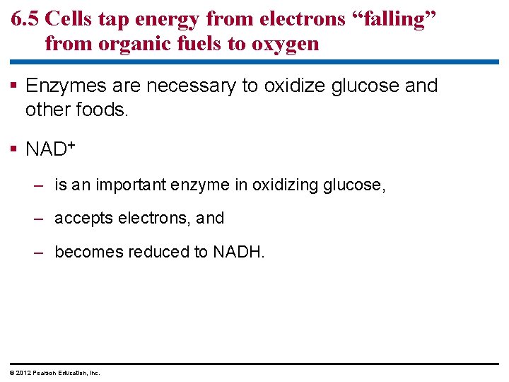 6. 5 Cells tap energy from electrons “falling” from organic fuels to oxygen Enzymes