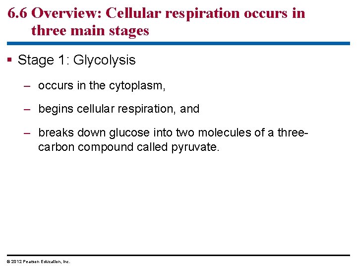 6. 6 Overview: Cellular respiration occurs in three main stages Stage 1: Glycolysis –