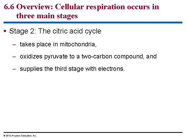 6. 6 Overview: Cellular respiration occurs in three main stages Stage 2: The citric
