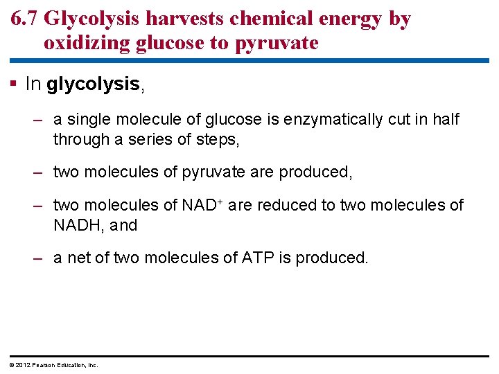6. 7 Glycolysis harvests chemical energy by oxidizing glucose to pyruvate In glycolysis, –