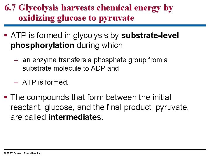 6. 7 Glycolysis harvests chemical energy by oxidizing glucose to pyruvate ATP is formed