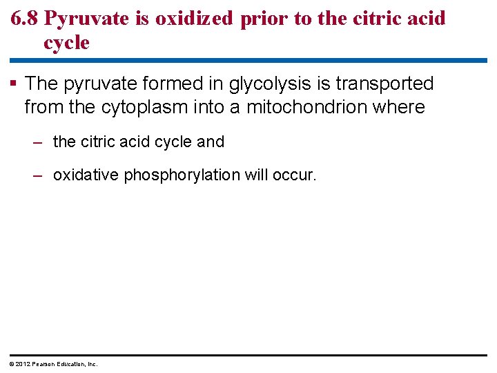 6. 8 Pyruvate is oxidized prior to the citric acid cycle The pyruvate formed
