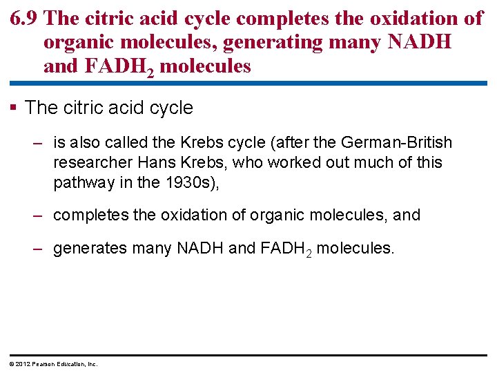 6. 9 The citric acid cycle completes the oxidation of organic molecules, generating many