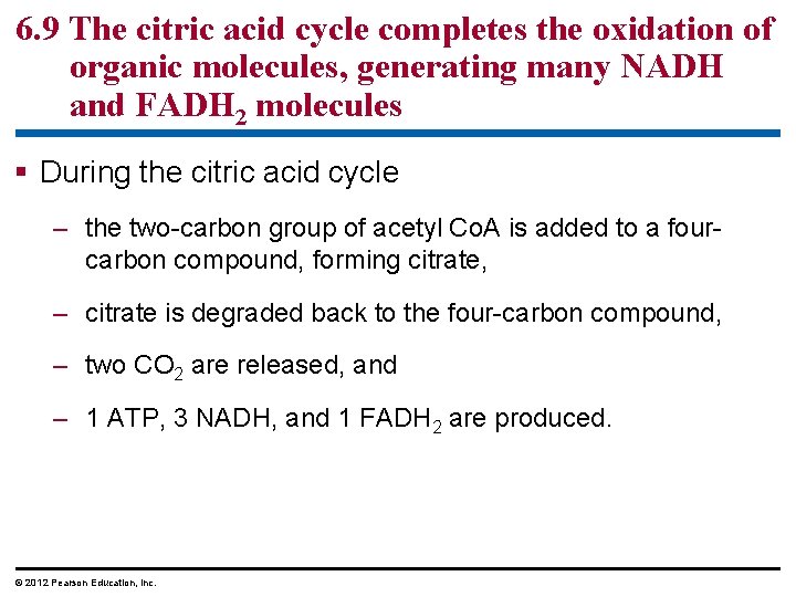 6. 9 The citric acid cycle completes the oxidation of organic molecules, generating many