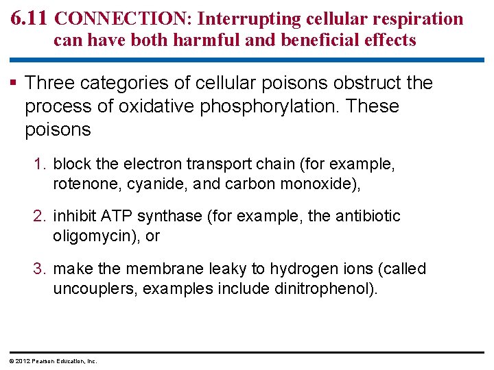 6. 11 CONNECTION: Interrupting cellular respiration can have both harmful and beneficial effects Three