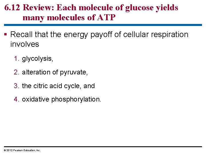 6. 12 Review: Each molecule of glucose yields many molecules of ATP Recall that