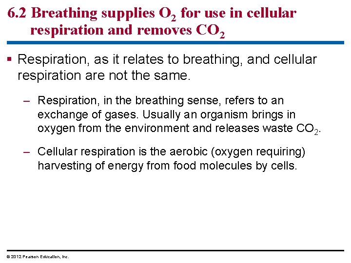 6. 2 Breathing supplies O 2 for use in cellular respiration and removes CO