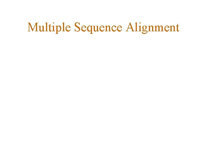 Multiple Sequence Alignment 