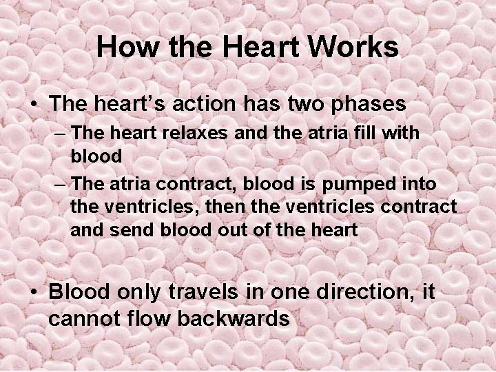 How the Heart Works • The heart’s action has two phases – The heart How the Heart Works • The heart’s action has two phases – The heart