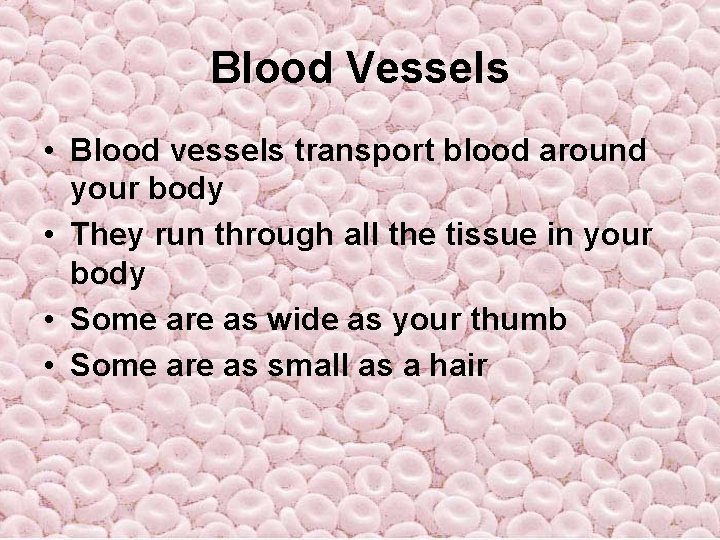 Blood Vessels • Blood vessels transport blood around your body • They run through Blood Vessels • Blood vessels transport blood around your body • They run through