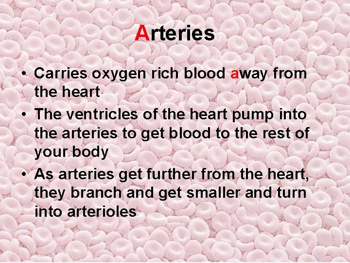 Arteries • Carries oxygen rich blood away from the heart • The ventricles of Arteries • Carries oxygen rich blood away from the heart • The ventricles of