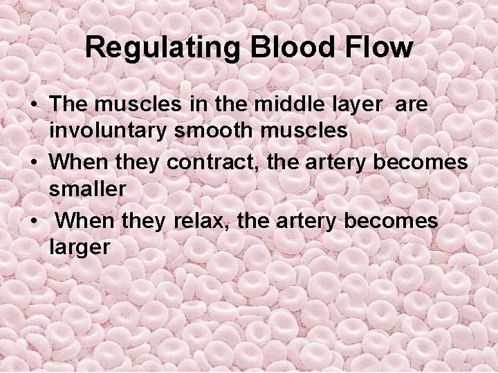 Regulating Blood Flow • The muscles in the middle layer are involuntary smooth muscles Regulating Blood Flow • The muscles in the middle layer are involuntary smooth muscles