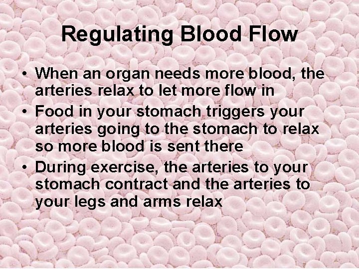 Regulating Blood Flow • When an organ needs more blood, the arteries relax to Regulating Blood Flow • When an organ needs more blood, the arteries relax to