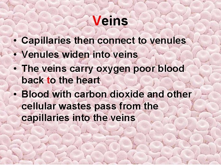 Veins • Capillaries then connect to venules • Venules widen into veins • The Veins • Capillaries then connect to venules • Venules widen into veins • The