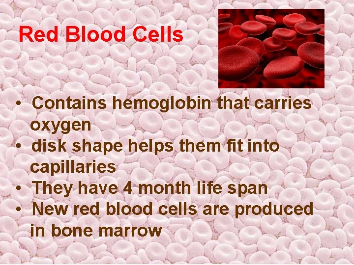 Red Blood Cells • Contains hemoglobin that carries oxygen • disk shape helps them Red Blood Cells • Contains hemoglobin that carries oxygen • disk shape helps them