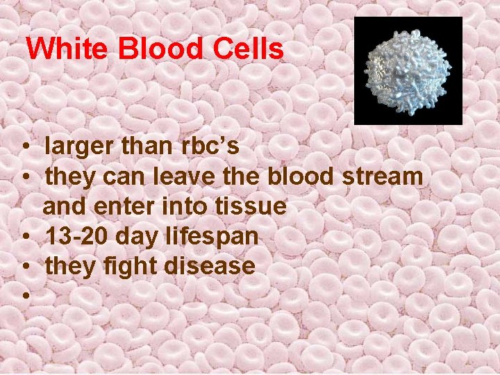 White Blood Cells • larger than rbc’s • they can leave the blood stream White Blood Cells • larger than rbc’s • they can leave the blood stream