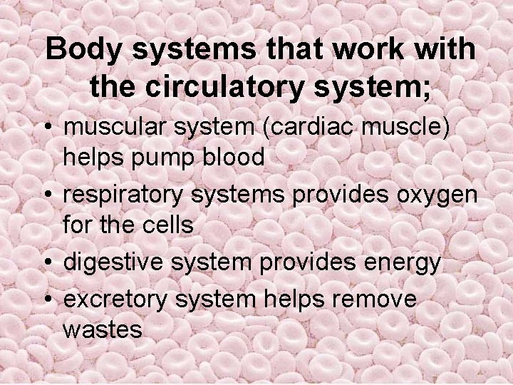 Body systems that work with the circulatory system; • muscular system (cardiac muscle) helps Body systems that work with the circulatory system; • muscular system (cardiac muscle) helps