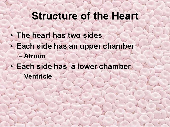 Structure of the Heart • The heart has two sides • Each side has Structure of the Heart • The heart has two sides • Each side has