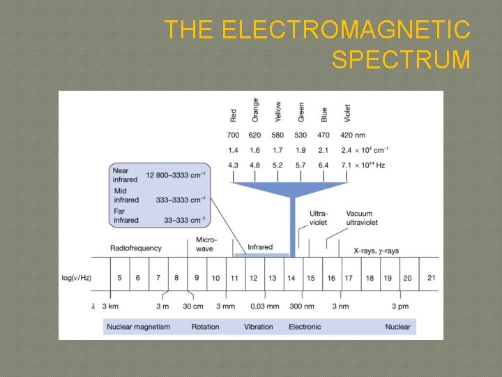 THE ELECTROMAGNETIC SPECTRUM 