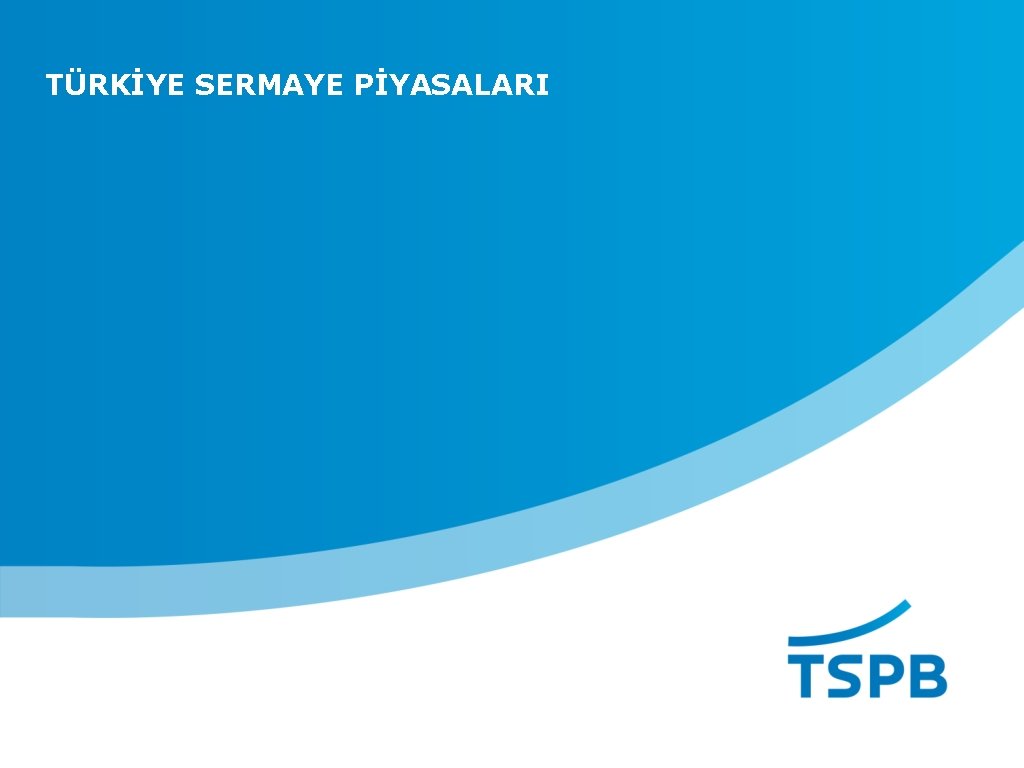 TÜRKİYE SERMAYE PİYASALARI 