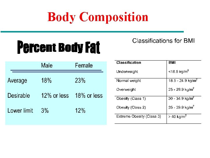 Body Composition 