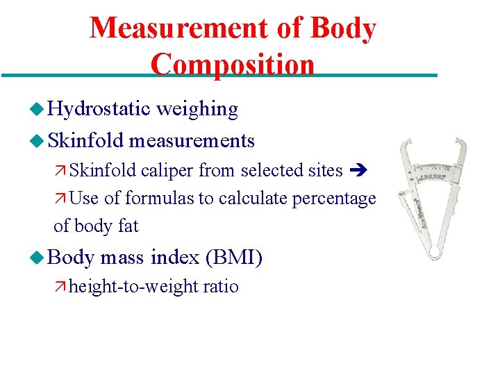 Measurement of Body Composition u Hydrostatic weighing u Skinfold measurements ä Skinfold caliper from